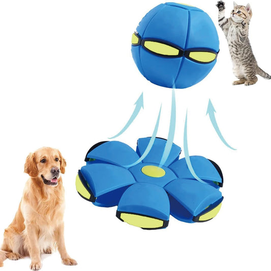 2 in 1 dog ball and frisbee