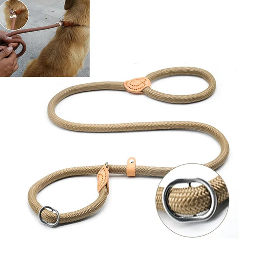 Stylish basic leash
