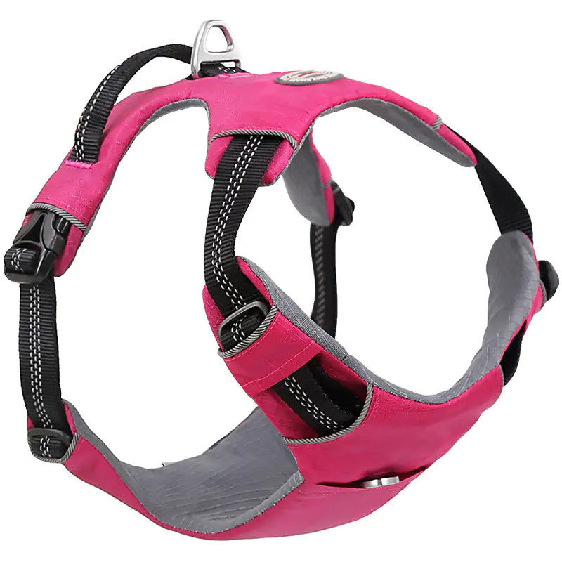 Professional dog harness