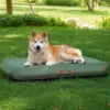 Lightweights Portable Dog Bed