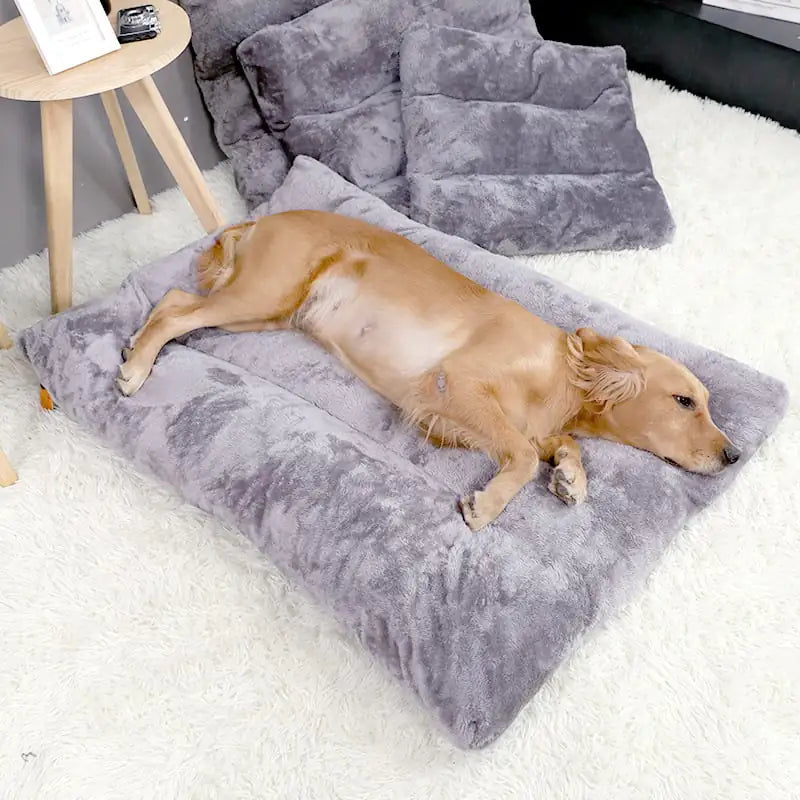 Long Warm Plush Dog Bed with Quilted Base - 4 Sizes