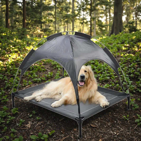 Eco-Friendly Outdoor Dog/cat Canopy Bed