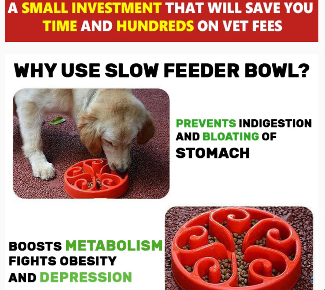 Slow Feeder Bowl for Cats and Dogs - Puzzle Design