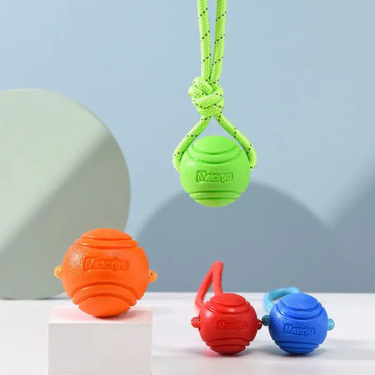 Dog training dog toy