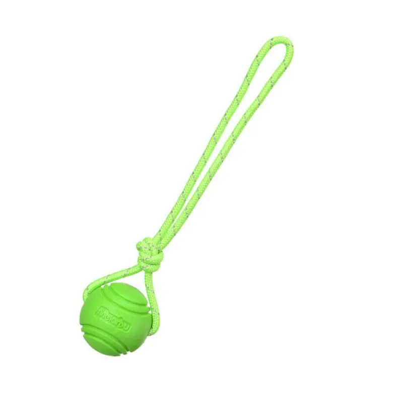 Dog training dog toy
