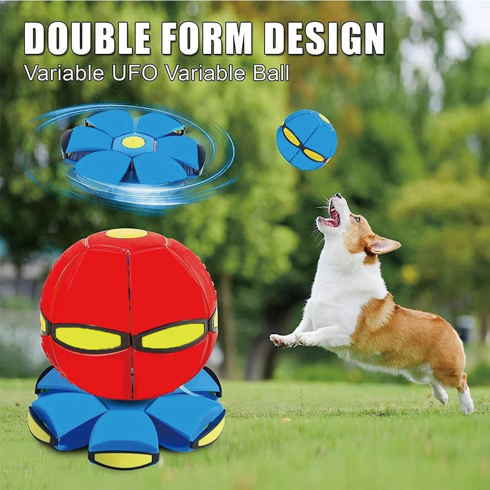 2 in 1 dog ball and frisbee