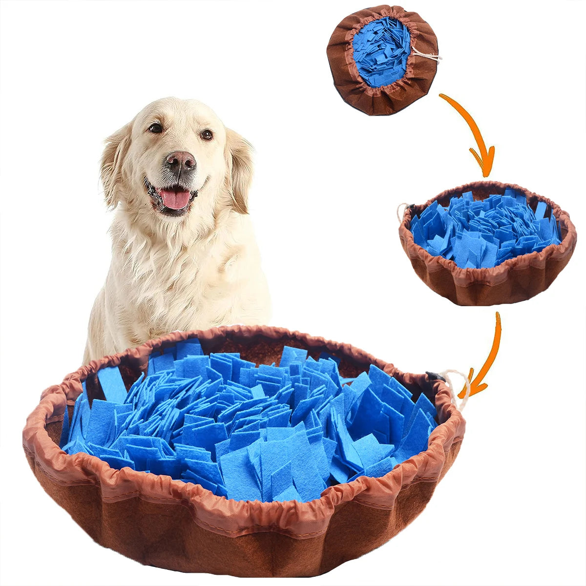 Pet sniffing feeder