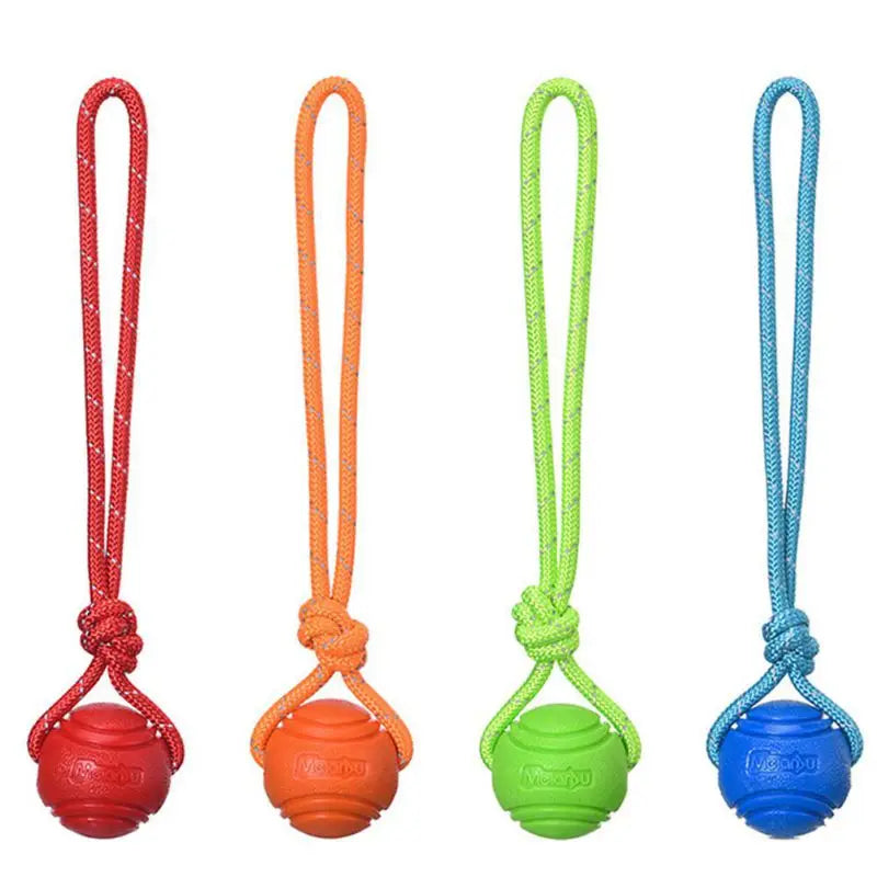 Dog training dog toy