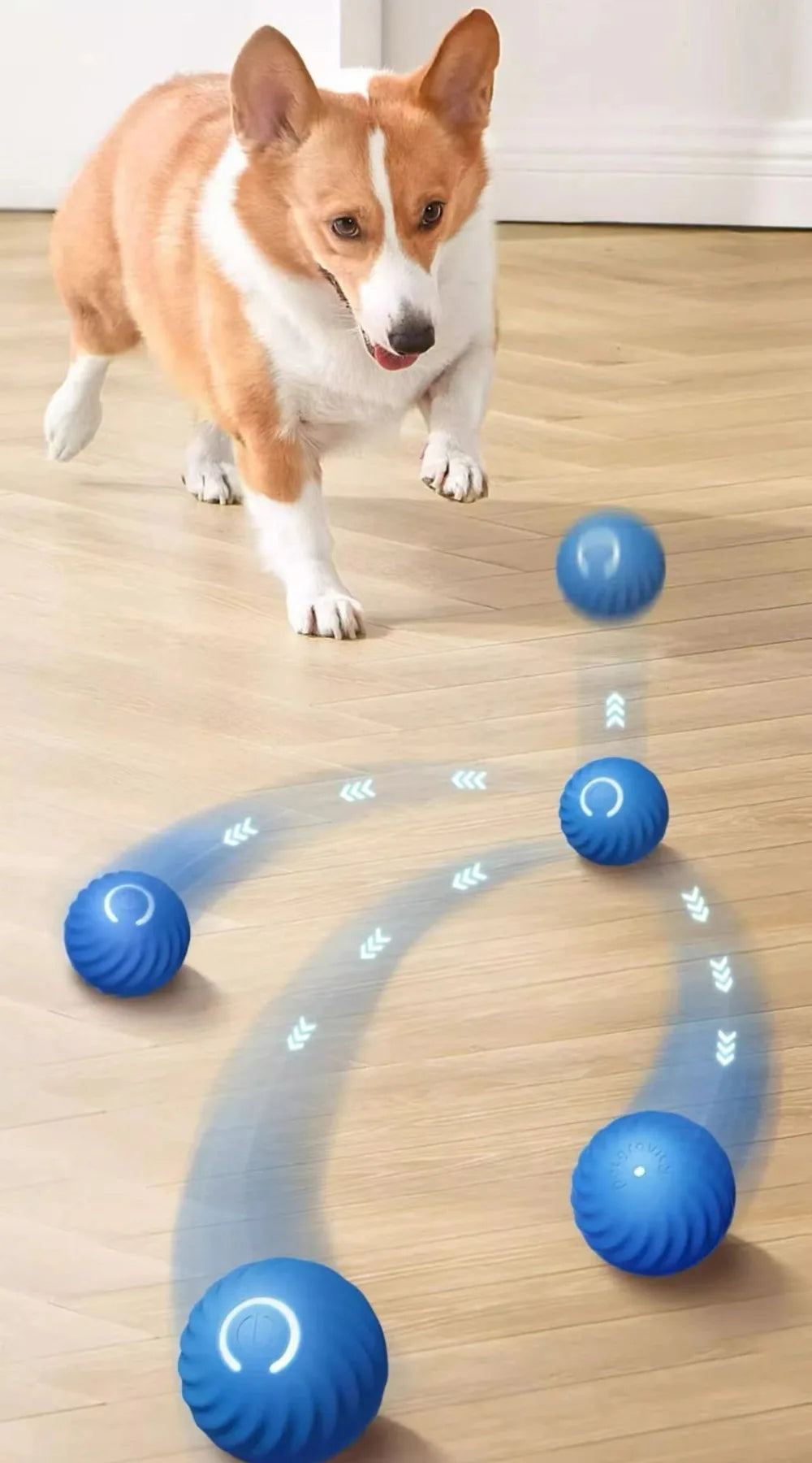Moving reactive toy ball for dogs!