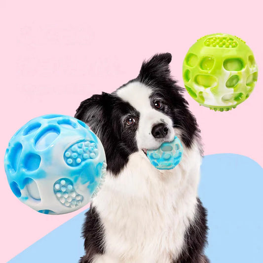 Dog bouncy ball