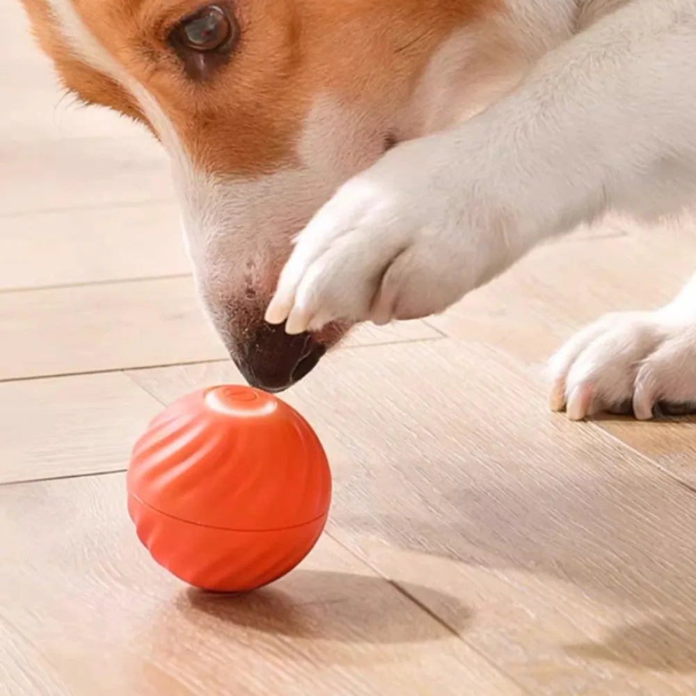 Moving reactive toy ball for dogs!