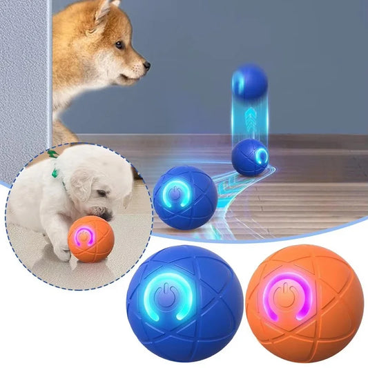 Interactive toy ball for dogs and cats