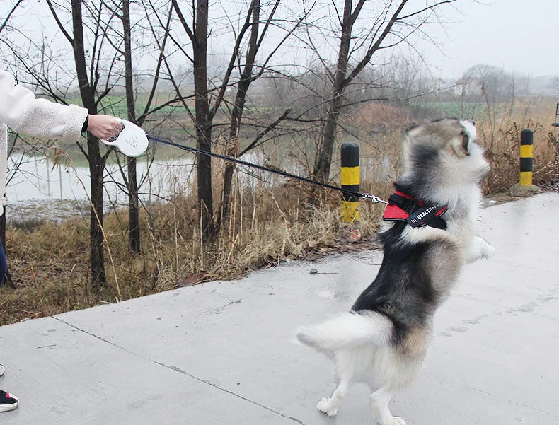 Dog Leash Large Small Medium Dog Leash Golden Hair Teddy Walk Cat Dog Mi Automatic Retractable Rope Small Animal Supplies