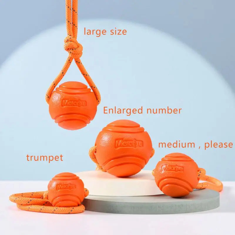 Dog training dog toy