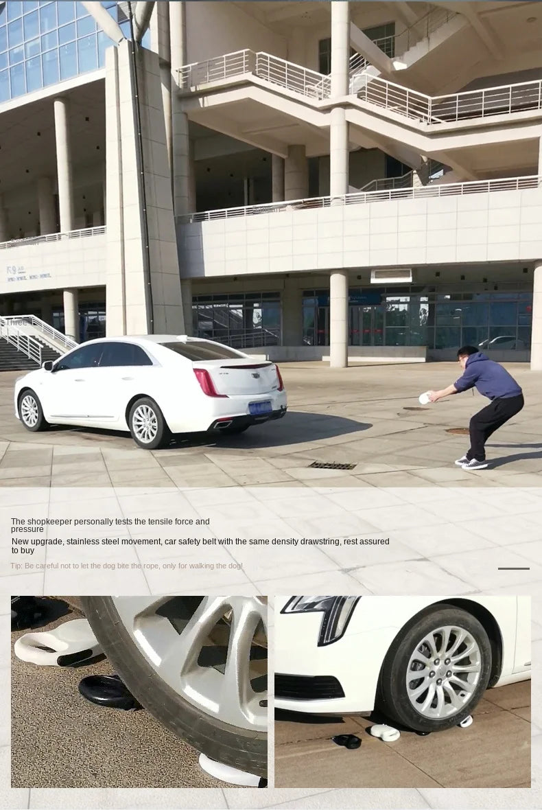 Dog Leash Large Small Medium Dog Leash Golden Hair Teddy Walk Cat Dog Mi Automatic Retractable Rope Small Animal Supplies