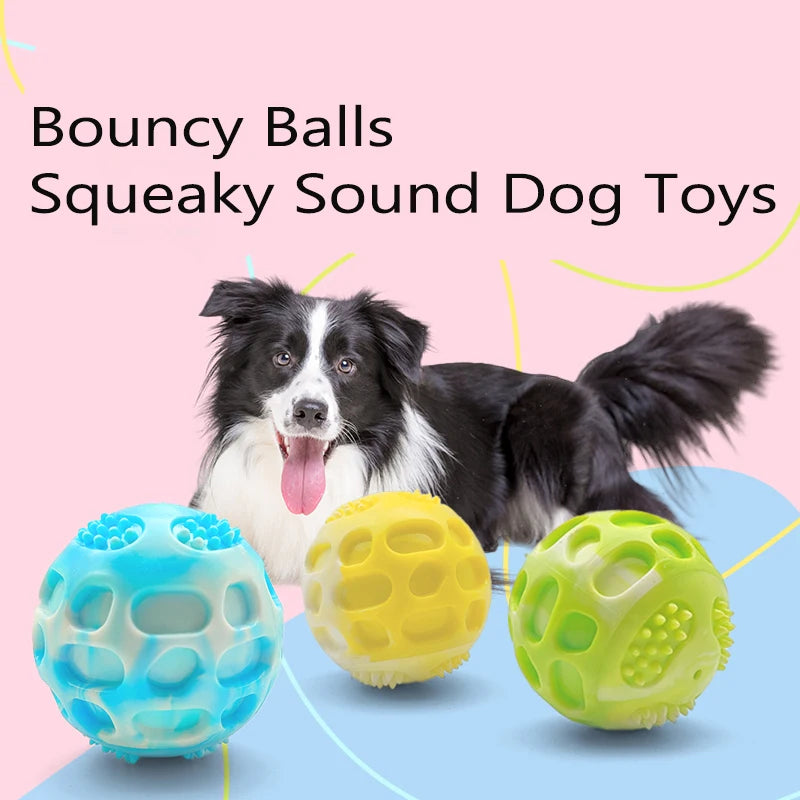 Dog bouncy ball