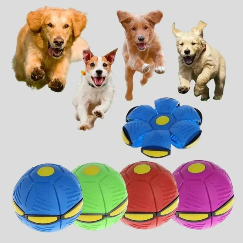 2 in 1 dog ball and frisbee