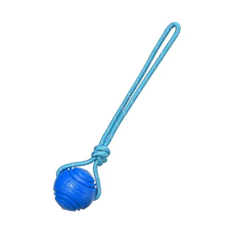 Dog training dog toy