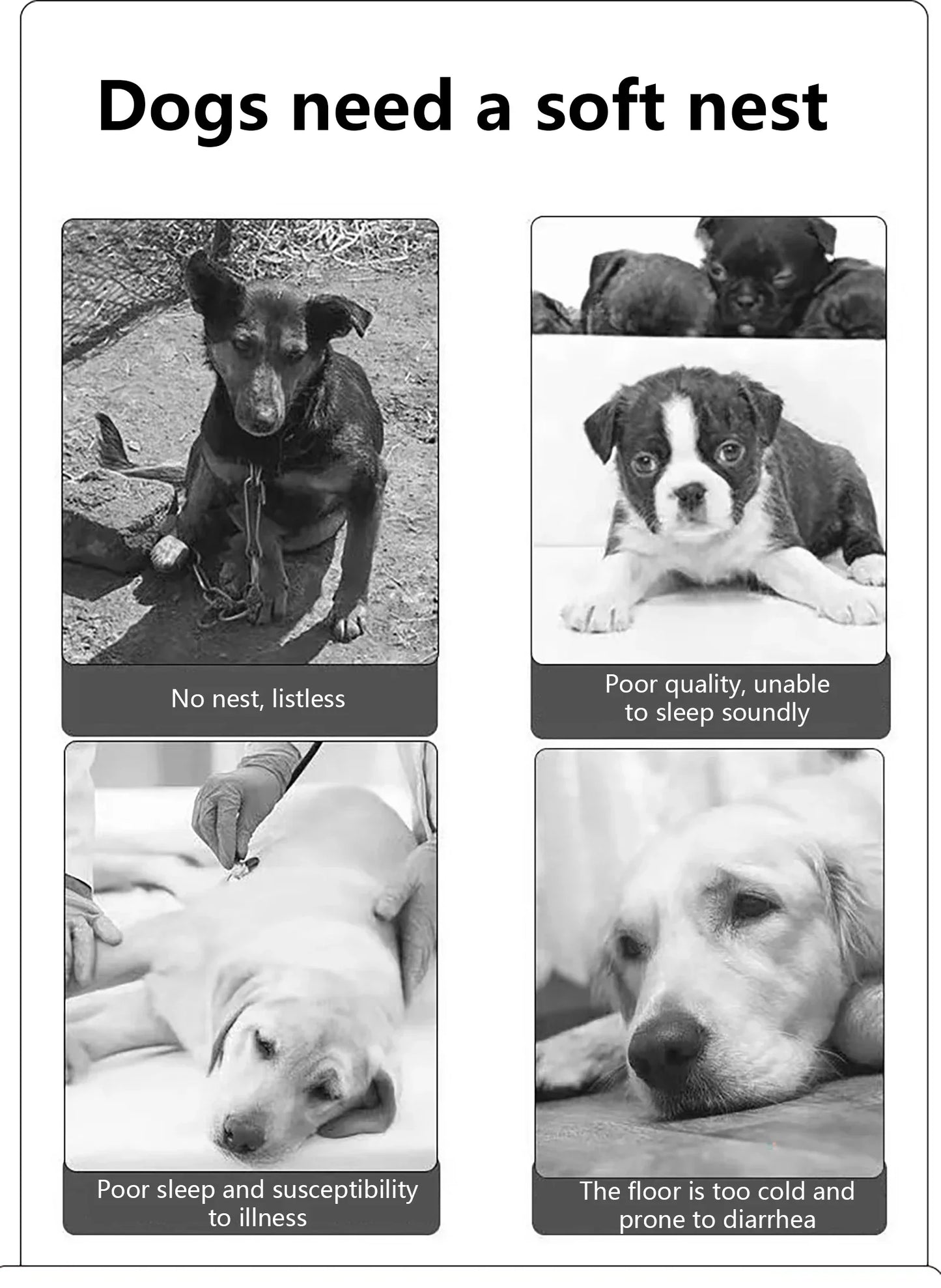 Waterproof comfy dog bed