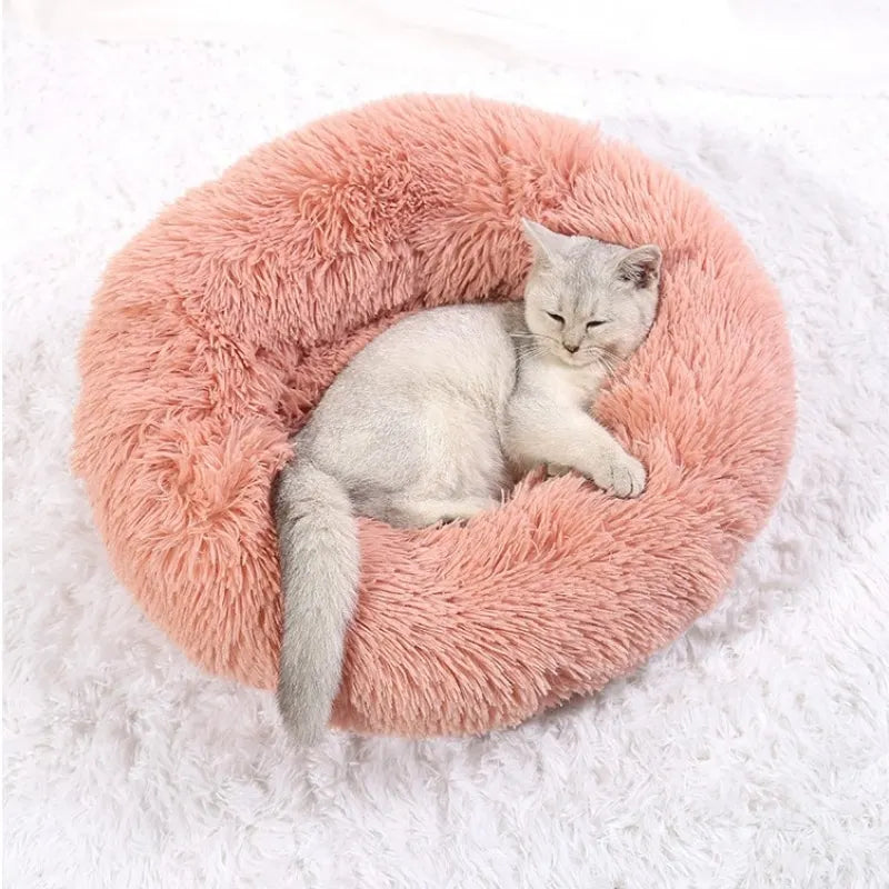 Large comfy dog/cat bed