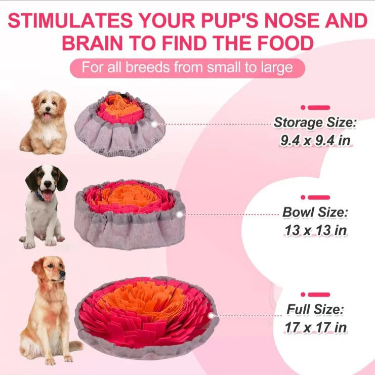Pet sniffing feeder