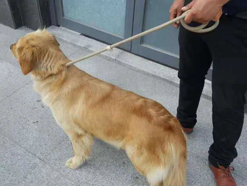 Stylish basic leash