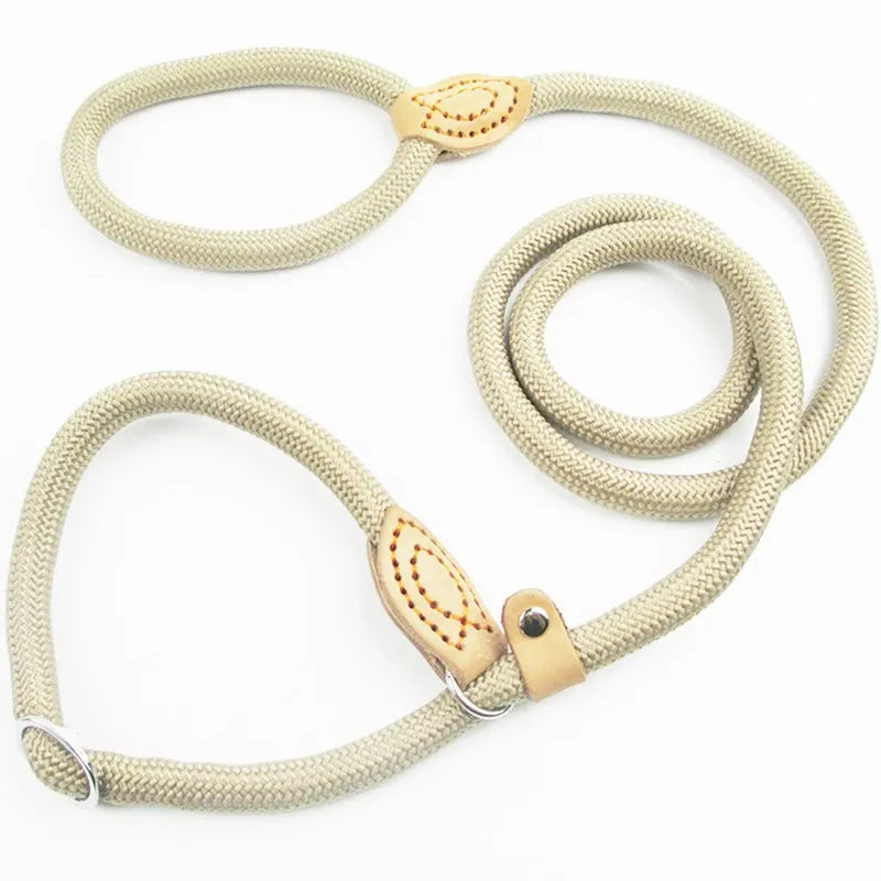 Stylish basic leash