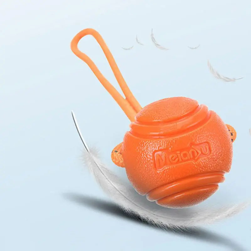 Dog training dog toy