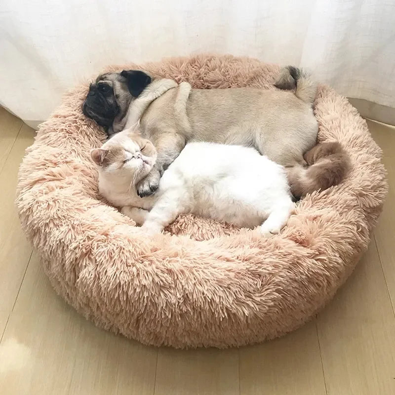 Large comfy dog/cat bed
