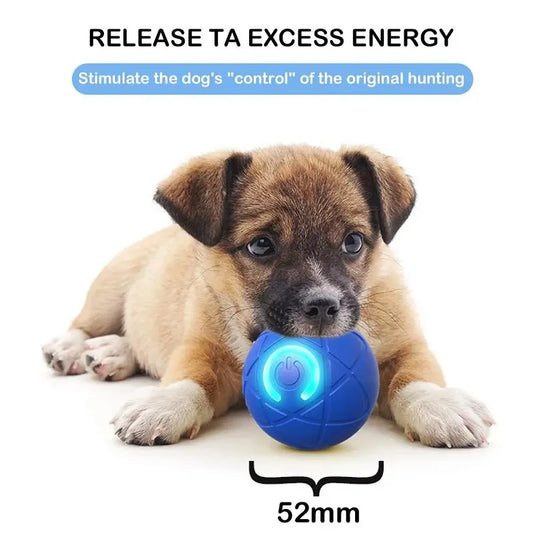 Interactive toy ball for dogs and cats