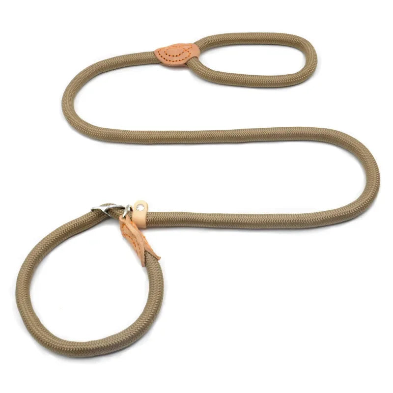 Stylish basic leash