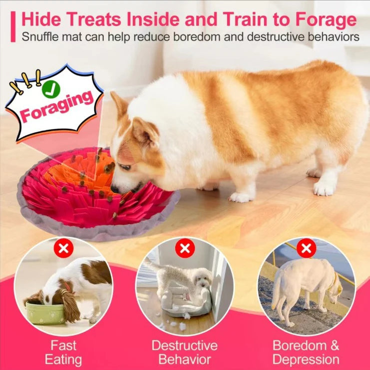 Pet sniffing feeder