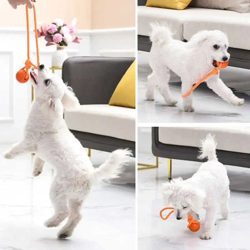 Dog training dog toy