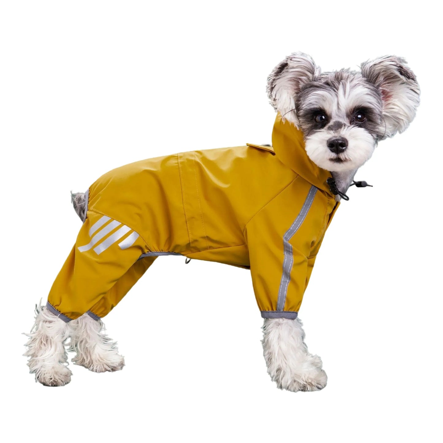 Reflective dog raincoat