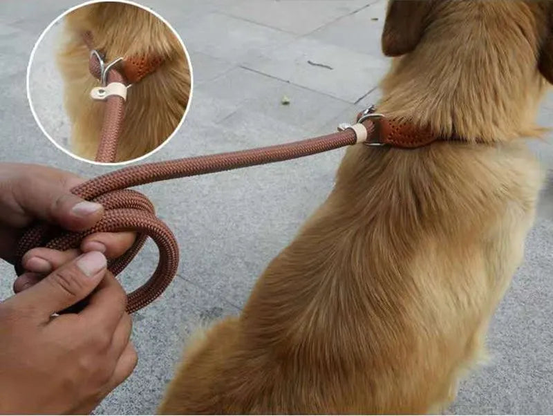 Stylish basic leash