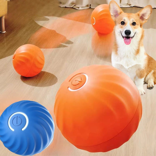 Moving reactive toy ball for dogs!