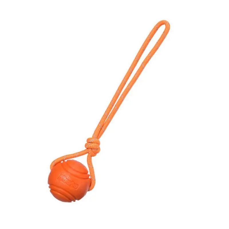 Dog training dog toy