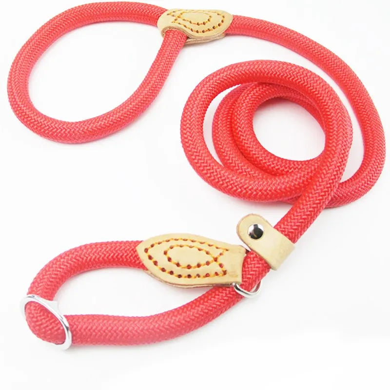 Stylish basic leash