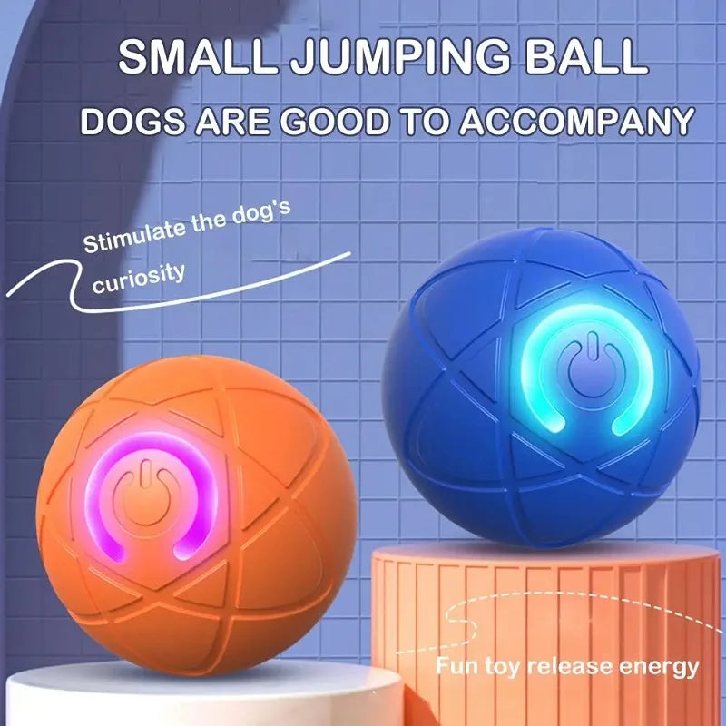 Interactive toy ball for dogs and cats