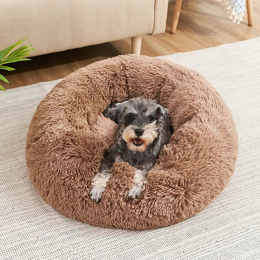 Large comfy dog/cat bed