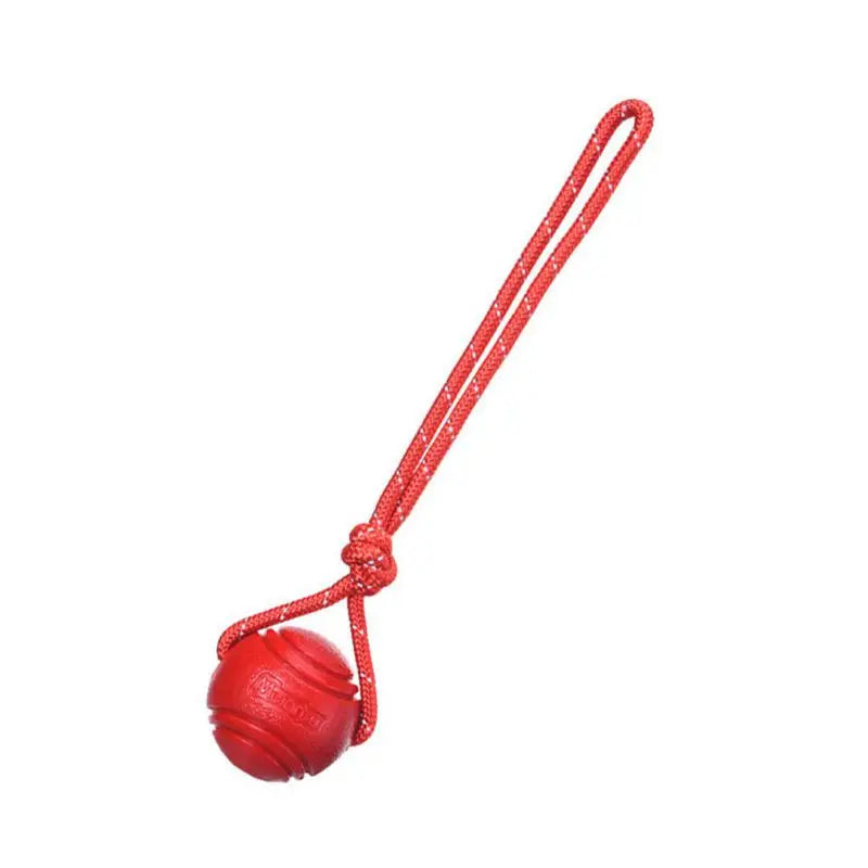 Dog training dog toy
