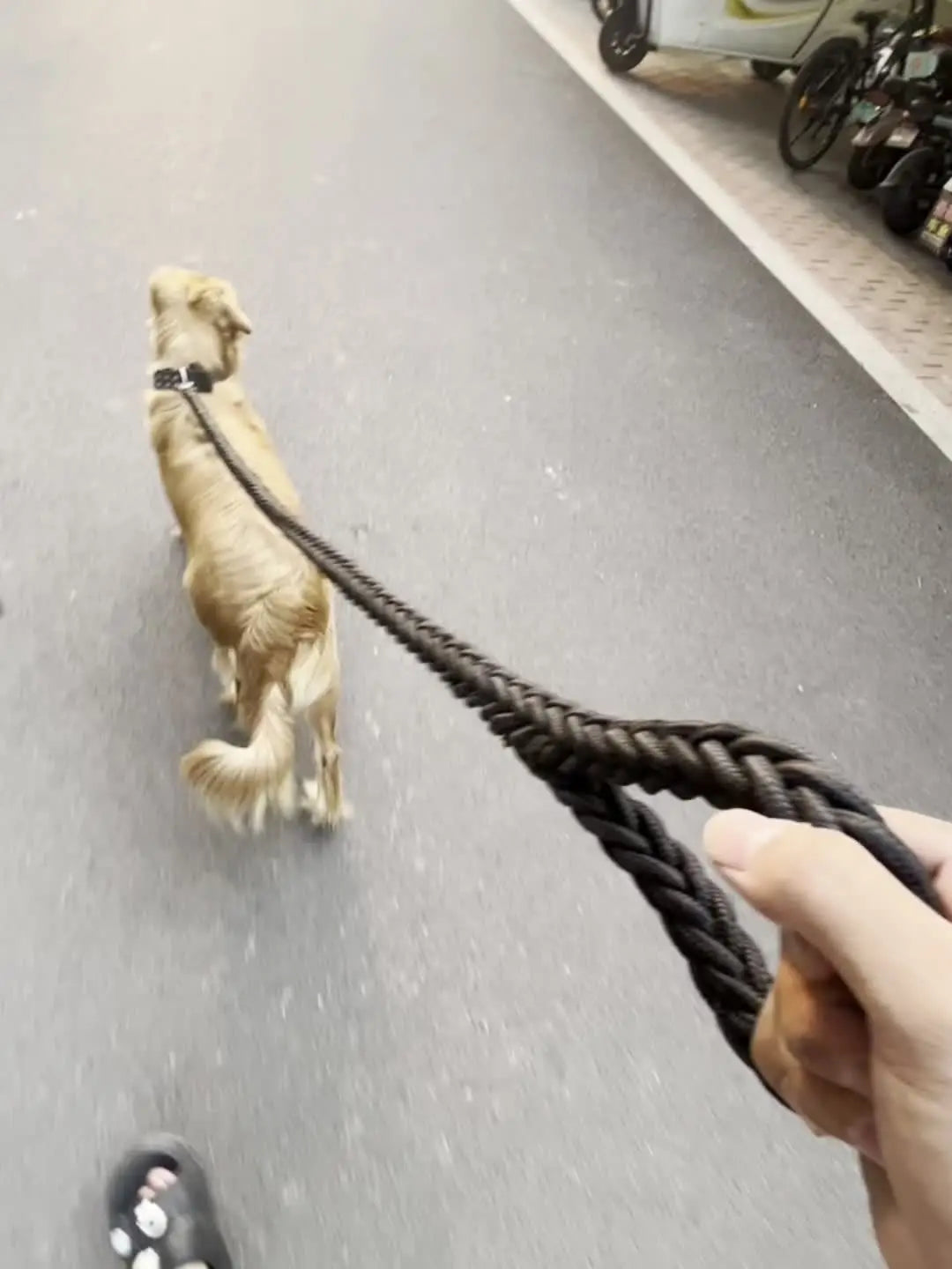Rope dog leash for strong big dogs