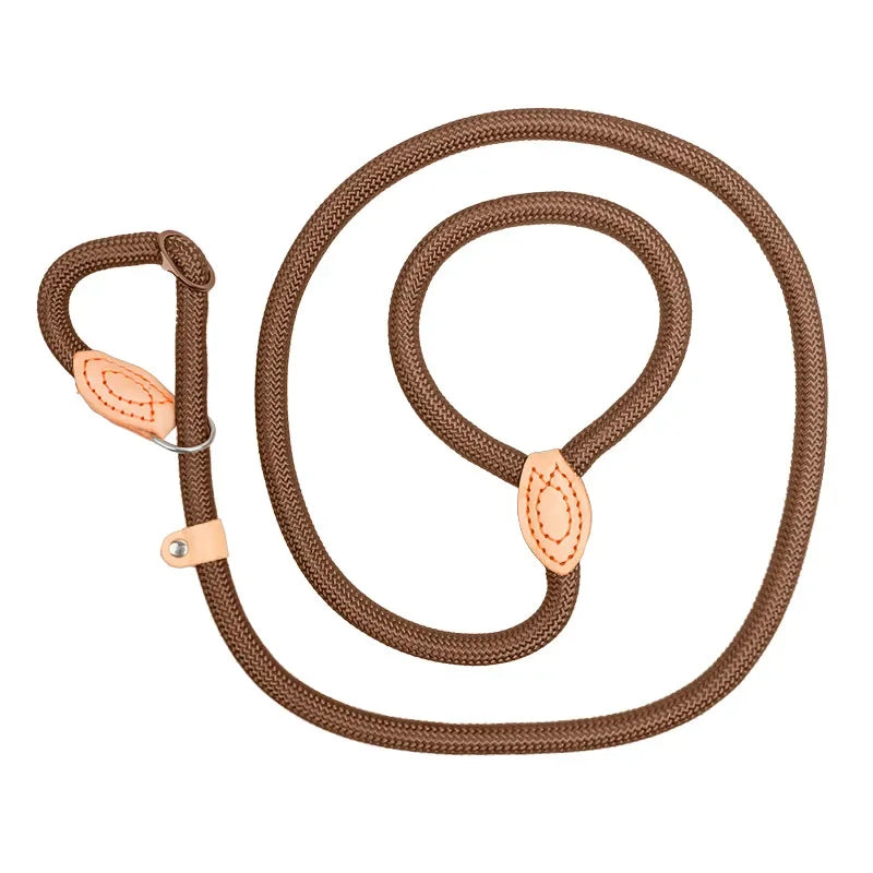 Stylish basic leash