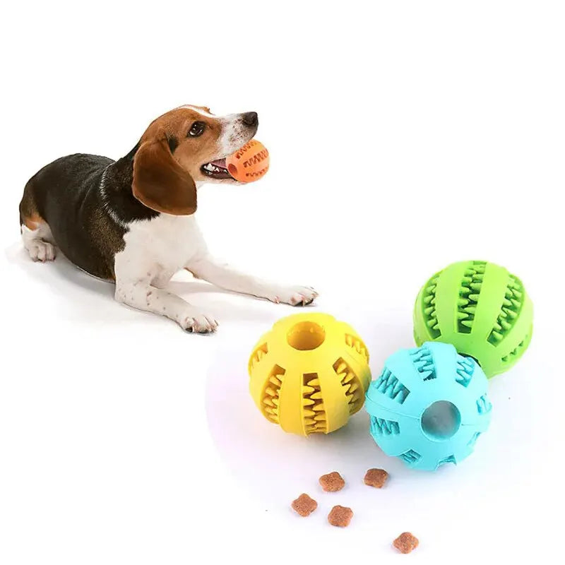 Treat Feeder/Tooth Cleaning Ball