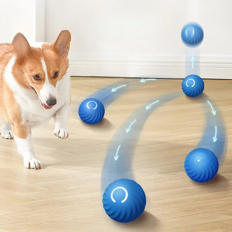 Moving reactive toy ball for dogs!