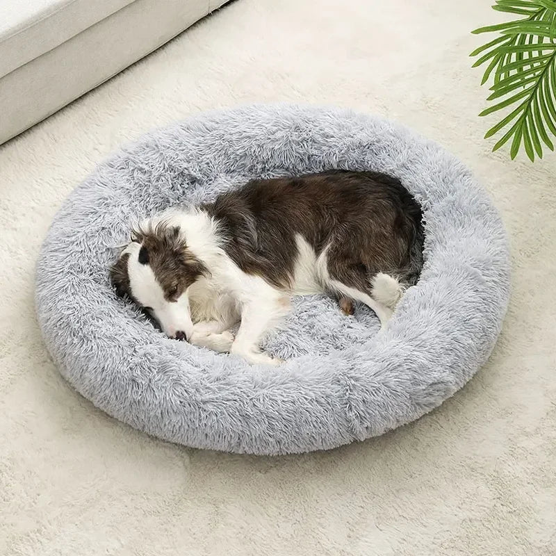 Cat/dog donut bed