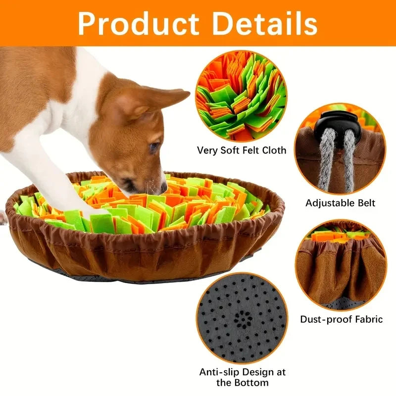 Pet sniffing feeder