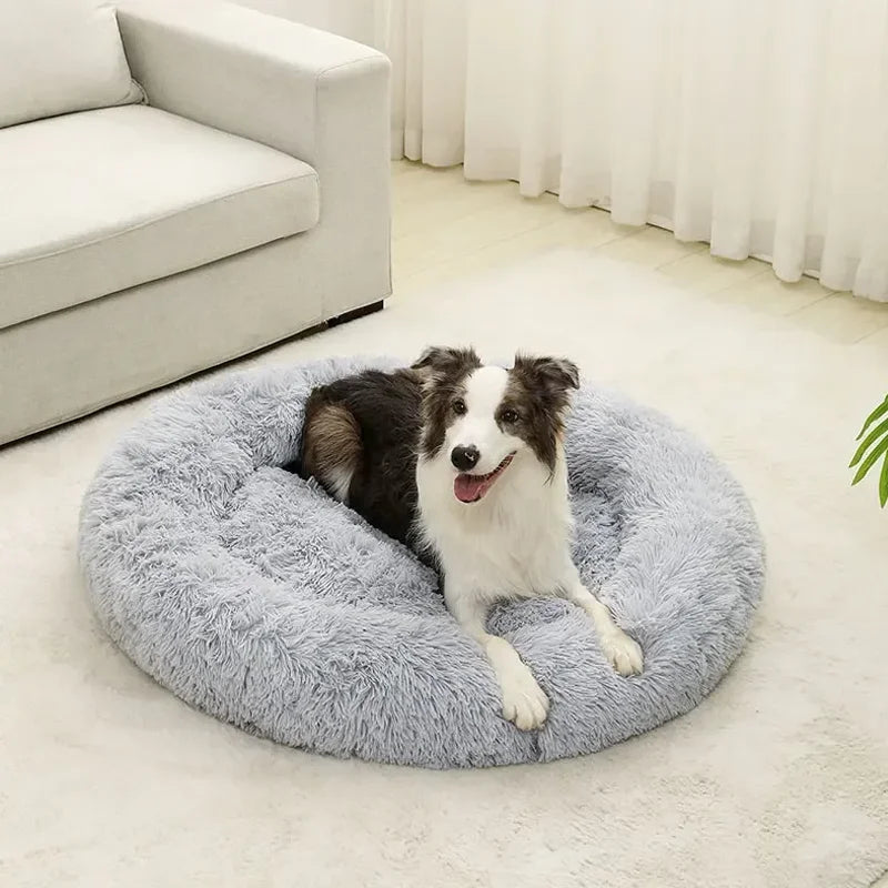 Cat/dog donut bed