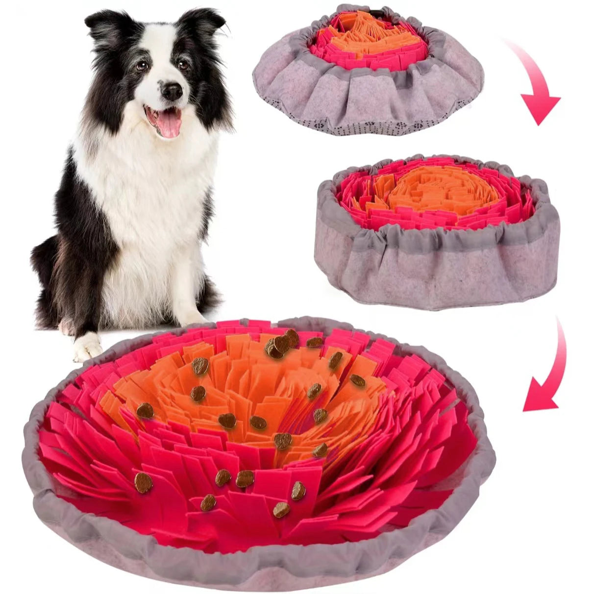 Pet sniffing feeder