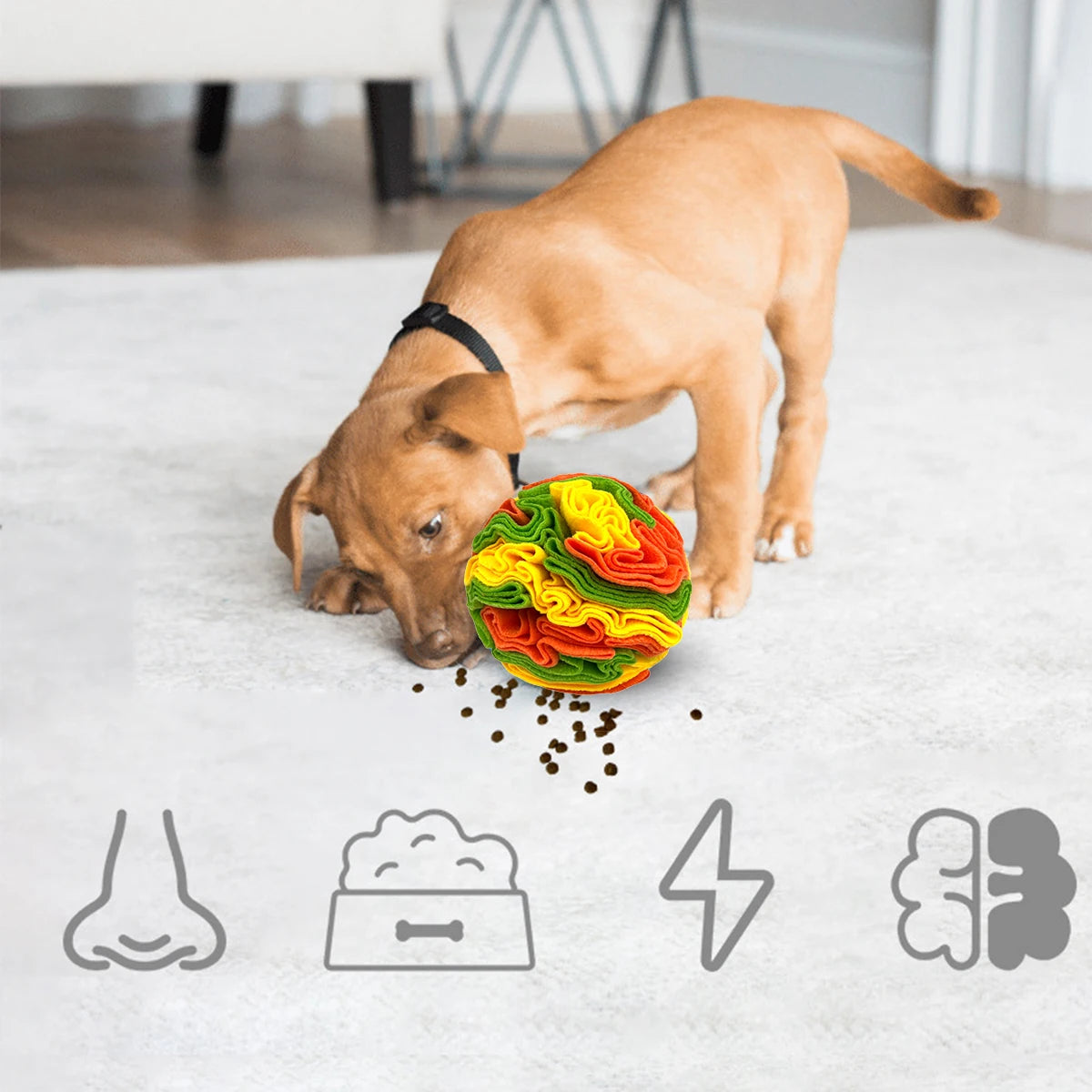 Scented dog toy ball